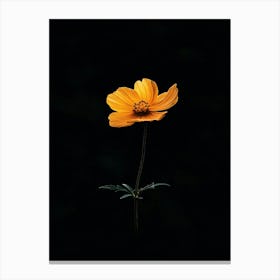 Single Flower 9 Canvas Print