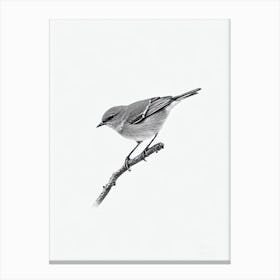 Eastern Bluebird B&W Pencil Drawing 2 Bird Canvas Print