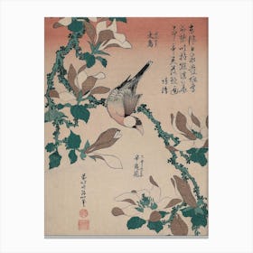 Java Sparrow And Magnolia Canvas Print