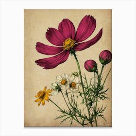 Cosmos Canvas Print