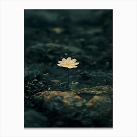 Single Flower 19 Canvas Print