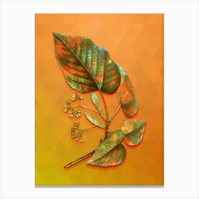 Vintage Linden Tree Branch Botanical Art on Tangelo n.0713 Canvas Print