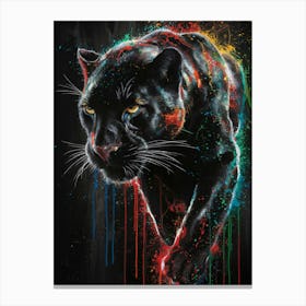 Panther Canvas Print