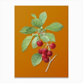 Vintage Cherry Botanical on Sunset Orange n.0288 Canvas Print