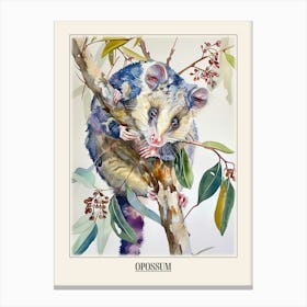 Opossum Colourful Watercolour 3 Poster Canvas Print