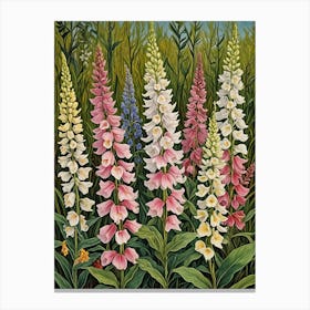 Foxgloves Canvas Print