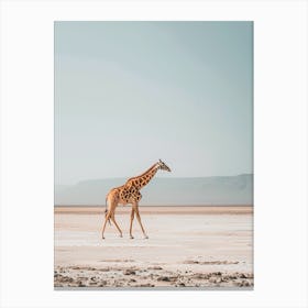 Giraffe Walking In The Desert Canvas Print