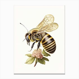 Honeybee And Flower 4 Vintage Canvas Print