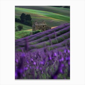 Lavender Fields In France Canvas Print