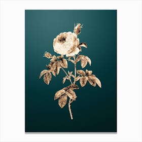 Gold Botanical Provence Rose Bloom on Dark Teal n.2070 Canvas Print