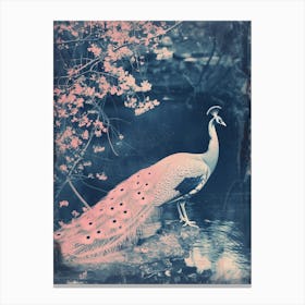 Peacock By The River Cyanotype Inspired 3 Canvas Print