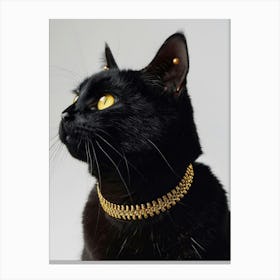 Cat With Gold Collar 2 Canvas Print