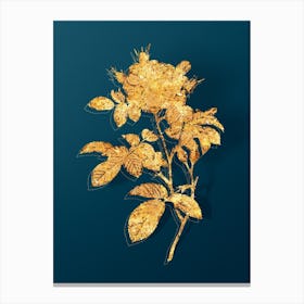 Vintage Red Portland Rose Botanical in Gold on Teal Blue n.0101 Canvas Print