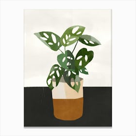 Plant 11 Canvas Print