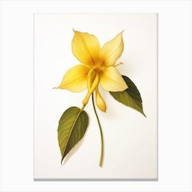 Pressed Wildflower Botanical Art Yellow Trillium Canvas Print