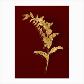 Vintage Solomon's Seal Botanical in Gold on Red n.0531 Canvas Print