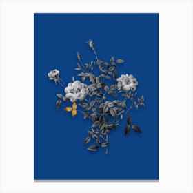 Vintage Dwarf Rosebush Black and White Gold Leaf Floral Art on Midnight Blue Canvas Print