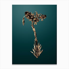 Gold Botanical Lily on Dark Teal n.0999 Canvas Print