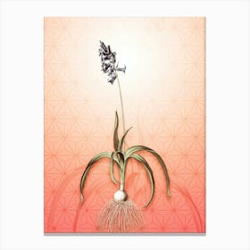 Common Bluebell Vintage Botanical in Peach Fuzz Asanoha Star Pattern n.0313 Canvas Print