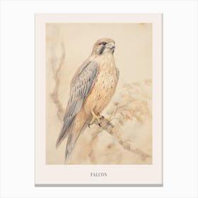 Vintage Bird Drawing Falcon 2 Poster Canvas Print
