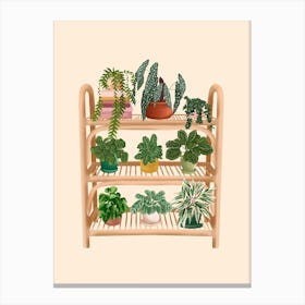 Plant Shelf 8 Canvas Print