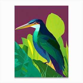 Green Heron Pop Matisse Bird Canvas Print