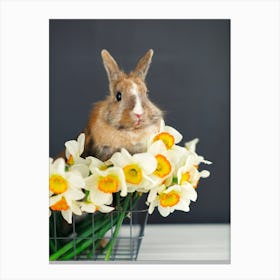 Bunny In A Basket Canvas Print