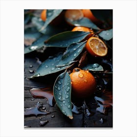 Fresh Oranges No 2 Canvas Print