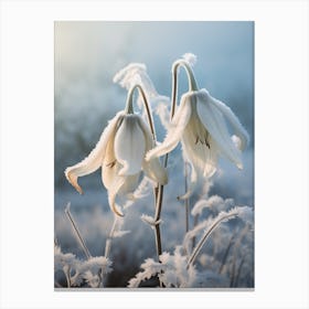 Frosty Botanical Gloriosa Lily 2 Canvas Print