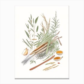 Butcher S Broom Spices And Herbs Pencil Illustration 1 Canvas Print