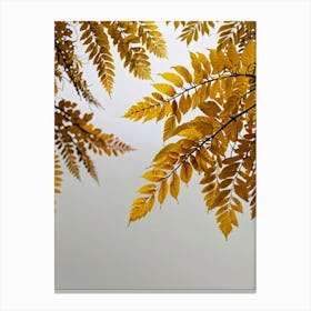 Autumn Leaves 3 Canvas Print