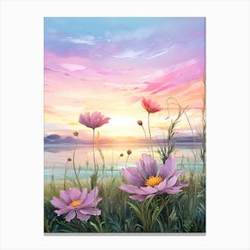Cosmos Wilflower At Sunset In South Western Style  (2) Canvas Print