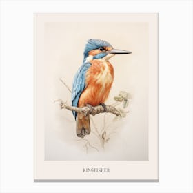 Vintage Bird Drawing Kingfisher 1 Poster Canvas Print