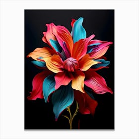 Dahlia Flower 7 Canvas Print