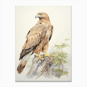 Vintage Bird Drawing Eagle 1 Canvas Print
