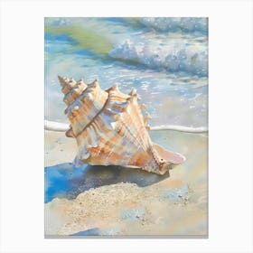 Conch Shell On The Beach Canvas Print