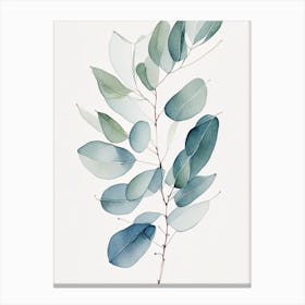 Eucalyptus Herb Minimalist Watercolour 2 Canvas Print