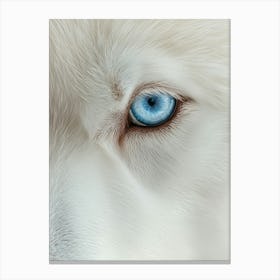 Blue Eyes Of A White Wolf. Generated with AI. Art Print Canvas Print