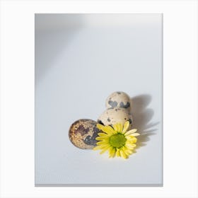 Quail Egg And Flower Canvas Print