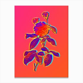 Neon Agatha Rose in Bloom Botanical in Hot Pink and Electric Blue n.0343 Canvas Print