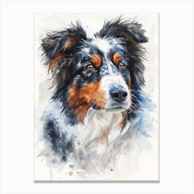 Australian Shepherd Dog Watercolor Painting 8 Canvas Print