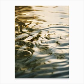 Ripples In The Water 1 Canvas Print