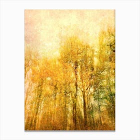 Autumn Radiance Canvas Print