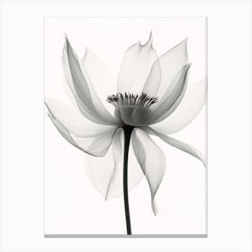 X Ray Flower 5 Canvas Print