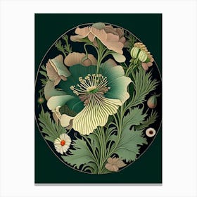 Anemone Wildflower Vintage Botanical 2 Canvas Print