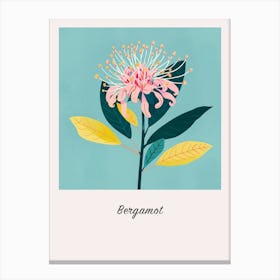 Bergamot 1 Square Flower Illustration Poster Canvas Print