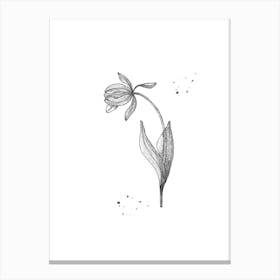 Tulip Black On White Canvas Print