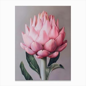 Pink Artichoke Canvas Print