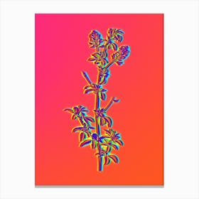 Neon Spanish Clover Bloom Botanical in Hot Pink and Electric Blue n.0108 Canvas Print