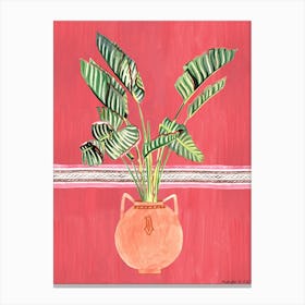 Moroccan Plant Canvas Print